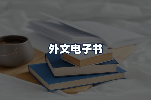 外文电子书